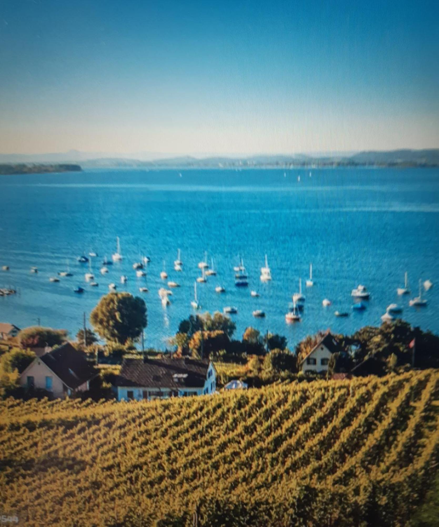 Ferienzentrum Bodensee Oberteuringen Eksteriør billede